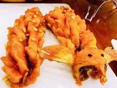 -盛京富丽园老菜馆·东北菜(和平南大街店)