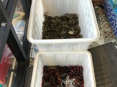 -蟹谢蒸鲜自助餐厅