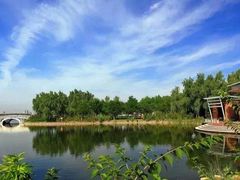 -大兴滨河森林公园