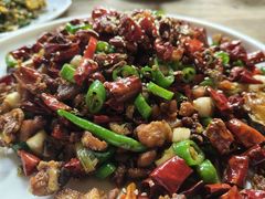 -青城甲(青城山店)