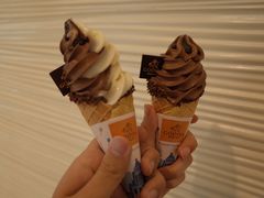双拼冰淇淋-GODIVA(万象城店)