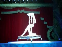 -珠海横琴长隆《卡卡虎奇遇记》