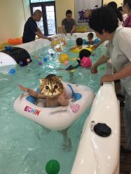 -爱乐婴童水育早教中心·儿童游泳中心(田园商业广场店)