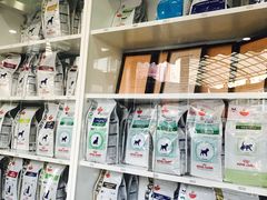 -爱侣宠医·鹦鹉专科·小型哺乳类·异宠专科(灵石路店)