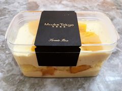 芒果甜品盒-布歌东京(金融街购物中心店)
