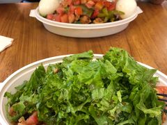 -油梨树 AVOCADO TREE(亮马桥店)