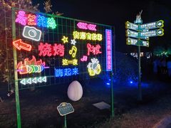 -荷兰花海