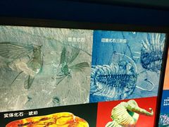 -上海昆虫博物馆