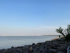 -上海吴淞炮台湾国家湿地公园