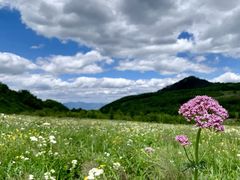 -白草畔自然风景区