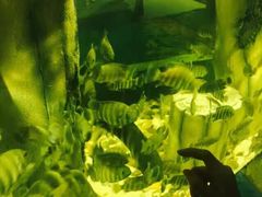 -苏州海洋馆