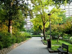 android_upload_pic-南馆公园