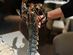 -Oyster Talks 四度蚝法餐厅