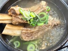 -莲洞本家