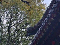-灵谷景区