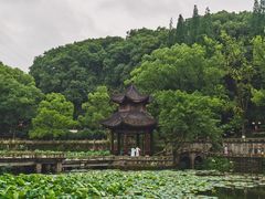 -忠山公园