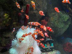 -沈阳海洋探索中心