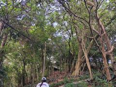 -白云山风景名胜区