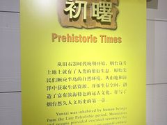 -烟台市博物馆