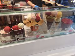 -哈根达斯(陆家浜路店)