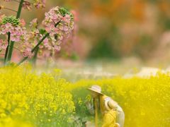 -中国天府农业博览园