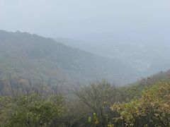 -岳麓山风景名胜区