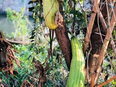 -丝绸小镇荻港古村