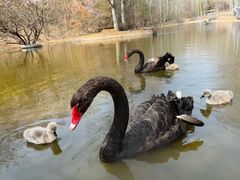 -雪山彩虹谷景区