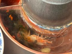 -东镇老火锅(长春路首店)