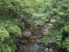 -叠溪松坪沟景区