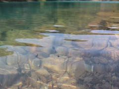 -会稽山峡洞漂流-上青古道