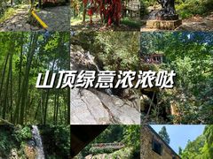 -莫干山风景区