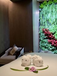 -VELEE·SPA高定疗愈会所