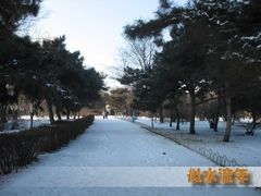 -沈阳南湖公园