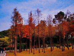 -晓港公园
