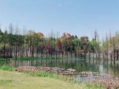 -南京银杏湖乐园