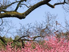 -宁波市保国寺古建筑博物馆