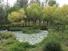 -东郊湿地公园