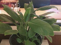 -六泰居·尔滨地标·东北菜(黄河路店)