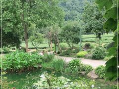 -中国茶叶博物馆(双峰馆区)