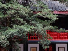 -成都市文殊院