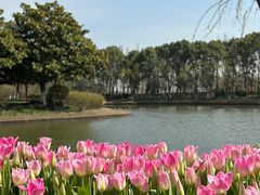 -上海鲜花港