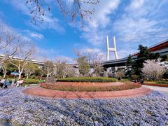 -南浦大桥长途旅游客运站