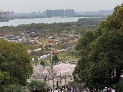 -苏州上方山国家森林公园
