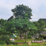 空气宜人，吃喝玩乐一条龙