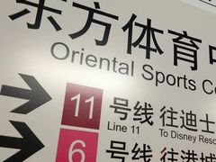 -东方体育中心(地铁站)