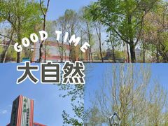 -大自然花鸟鱼虫市场