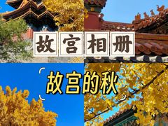 -故宫博物院(故宫)