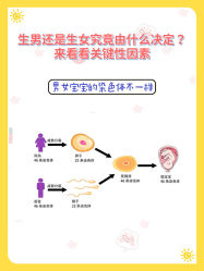 -安馨无忧月子中心(青秀店)