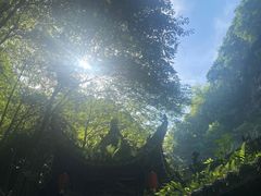 -石台牯牛降景区